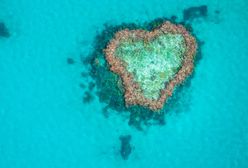 Rafa koralowa w kształcie serca. Po wielu latach znów jest dostępna