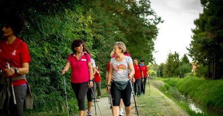 Jakie kije do nordic walking?