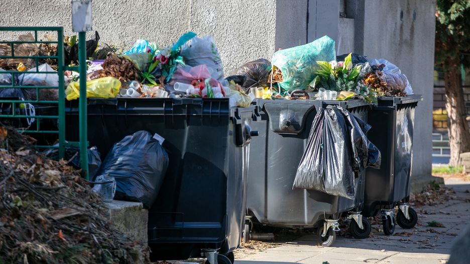 Polacy kombinują, aby ominąć nowe przepisy śmieciowe