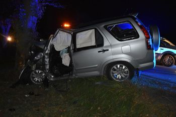 Tragedia na DK 12. 60-latka zginęła na miejscu. Honda uderzyła w drzewo