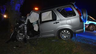 Tragedia na DK 12. 60-latka zginęła na miejscu. Honda uderzyła w drzewo