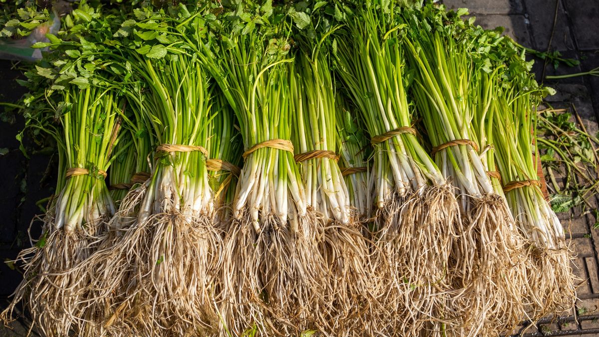 bunches of watercress selling at street market
wulingyun