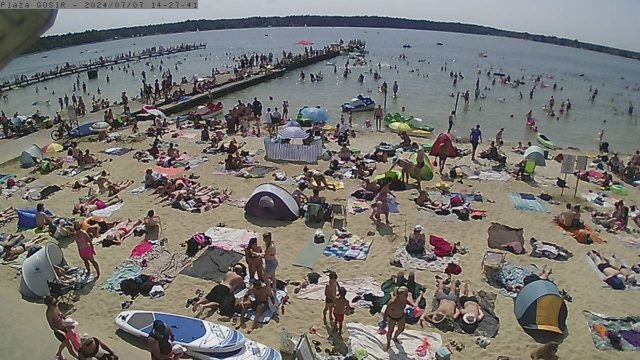 Pokazali widok z kamer. Tłumy to mało powiedziane