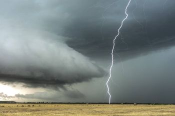 Nawałnica w Tarnobrzegu. Gwałtowna burza wyrywała drzewa z korzeniami i łamała gałęzie