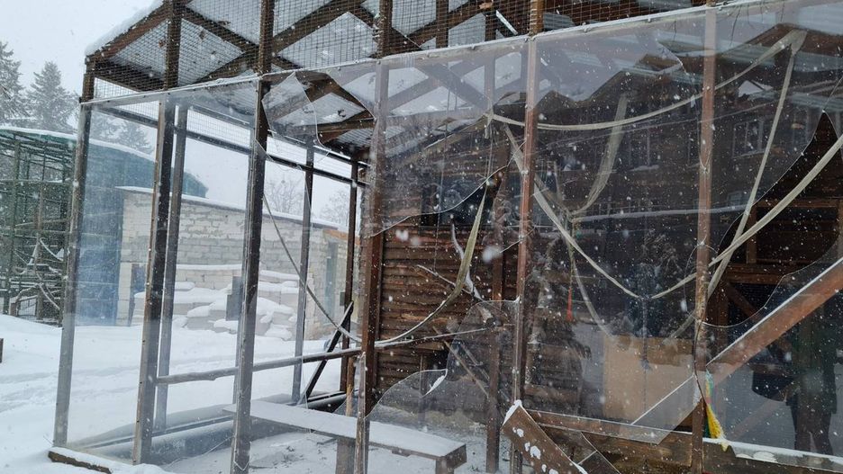 W mediach społecznościowych można zobaczyć zniszczenia, jakich Rosjanie dokonali na terenie zoo