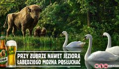 Marka Żubr testuje specjalne urządzenia  sklepach Topaz