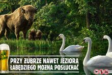 Żubr promowany nową odsłoną kampanii