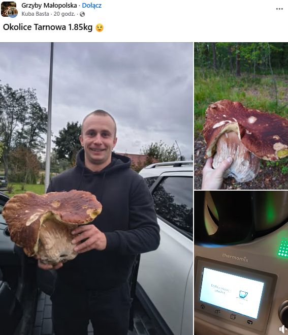 Znalazł gigantycznego borowika.