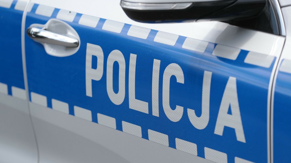 Reporter archiwum 2024 08
05.08.2024 Akcja policji drogowki w Zielonej Gorze N/z Policja policjanci policji drogowka drogowki drogowke drogowce policyjne policyjny swiatla napis napsiy radiowoz radiowozu radiowozie symbol symbole 
fot. Piotr Jedzura/REPORTER
Piotr Jedzura/REPORTER