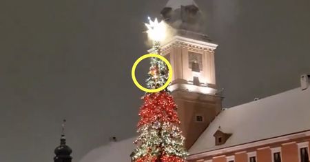 Pożar choinki na placu Zamkowym. Szybka interwencja strażaków