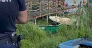 Kolejna tragedia na jeziorze na Mazurach. Nie żyje 31-letni mieszkaniec Warszawy, który wypadł z rowerka wodnego