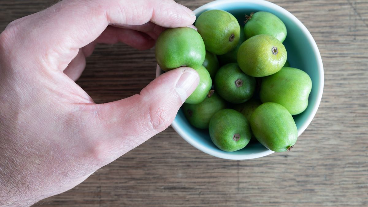 Minikiwi to źródło prozdrowotnych związków