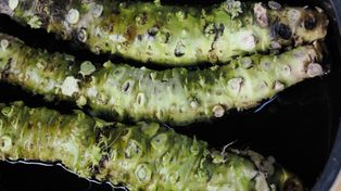 Wypala zatoki, wspiera wzrok. Większość z nas przez lata jadła tylko marną podróbkę