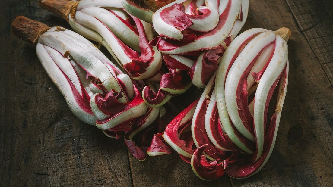 Czerwona cykoria zawiera witaminę C