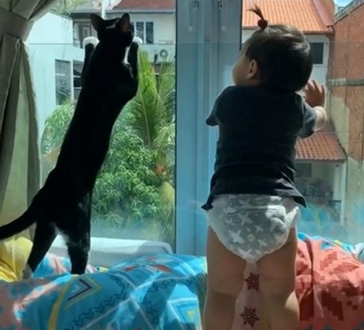 Ten filmik pokazuje wyjątkową relację dziecka i kota