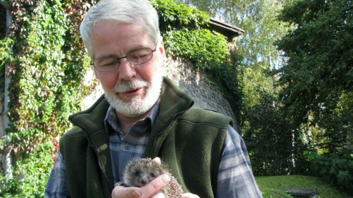 Jerzy Gara od 20 lat ratuje jeże. Ośrodek w Kłodzku został zalan