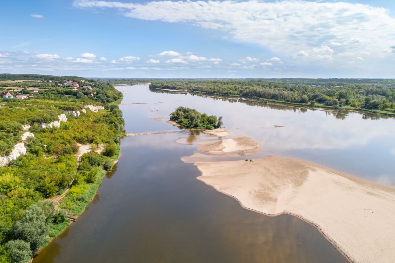 Rozpoczęło się tarło troci i łososi w rzekach. Trwa okres ochronny