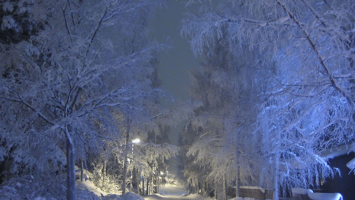 Najmroźniejsza noc tej zimy.