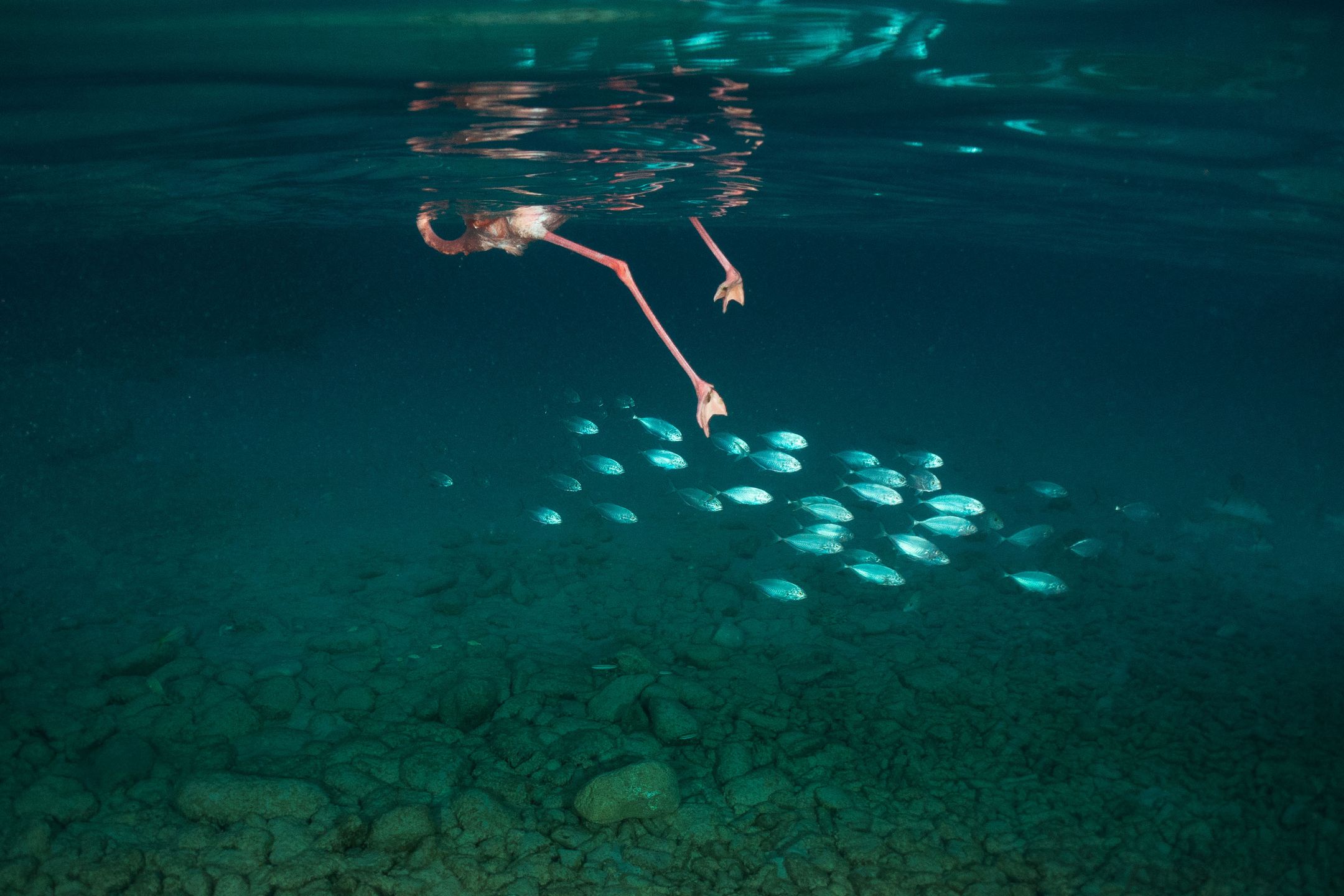 Kontrowersyjny materiał o samobójstwach wygrał Sony World Photography Awards 2019 120