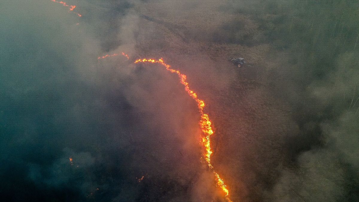 Pożar w Biebrzańskim Parku Narodowym
