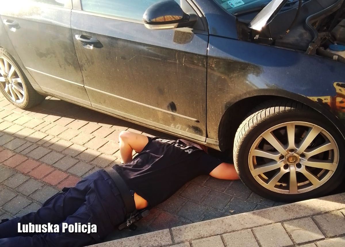 Funkcjonariusz policji ma obowiązek podjąć się takiej akcji, a  mieszkańcy Nowej Soli wykazali się wzorową postawą.