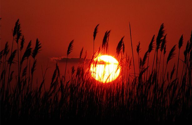 Astronomiczna wiosna już jest, kalendarzowa jutro