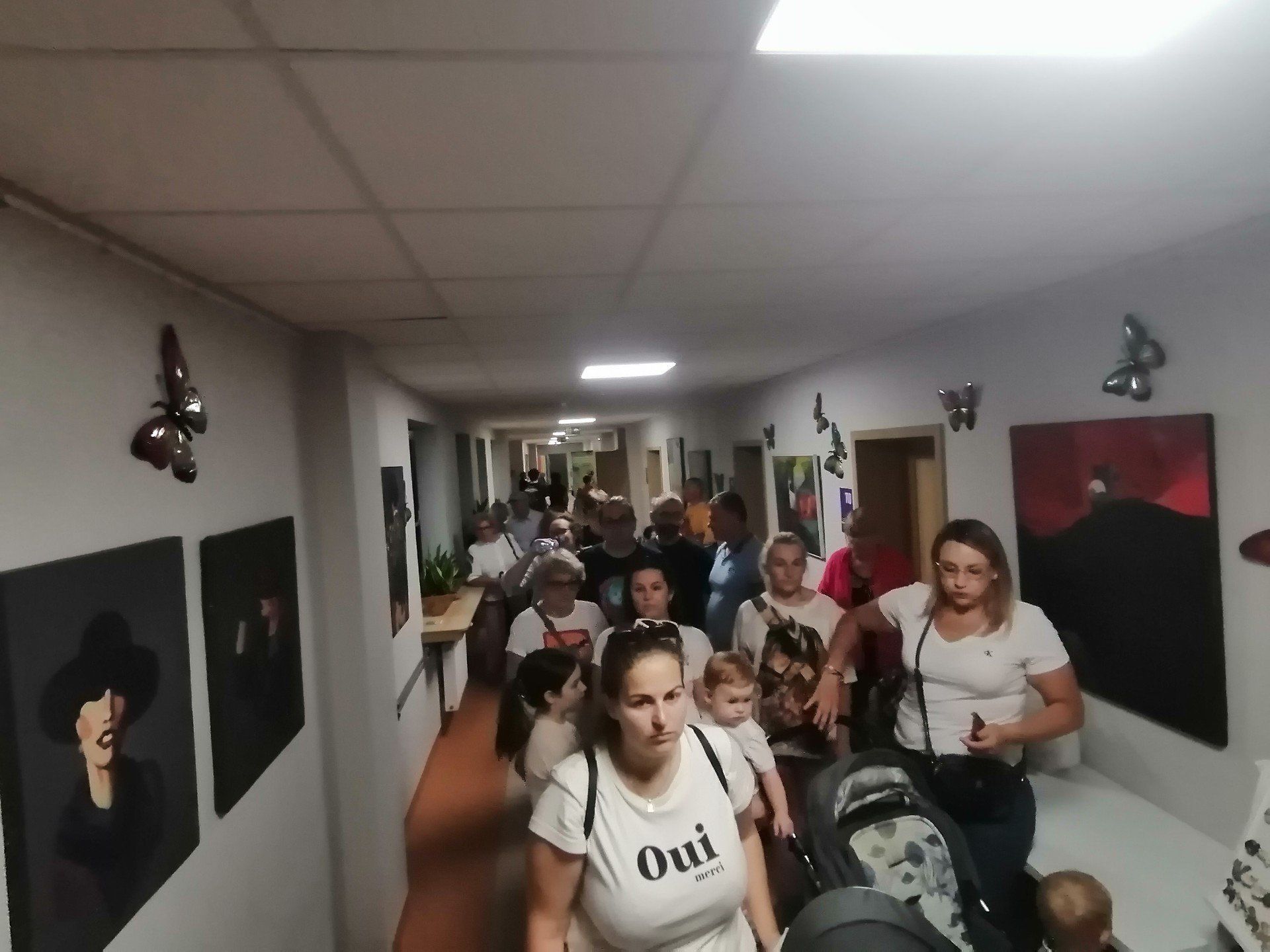 Wystawa kotów rasowych już podczas Święta Kwiatów, Owoców i Warzyw