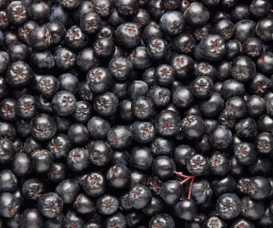 Mogą jeść nawet cukrzycy. Jeden z najzdrowszych owoców rośnie w Polsce