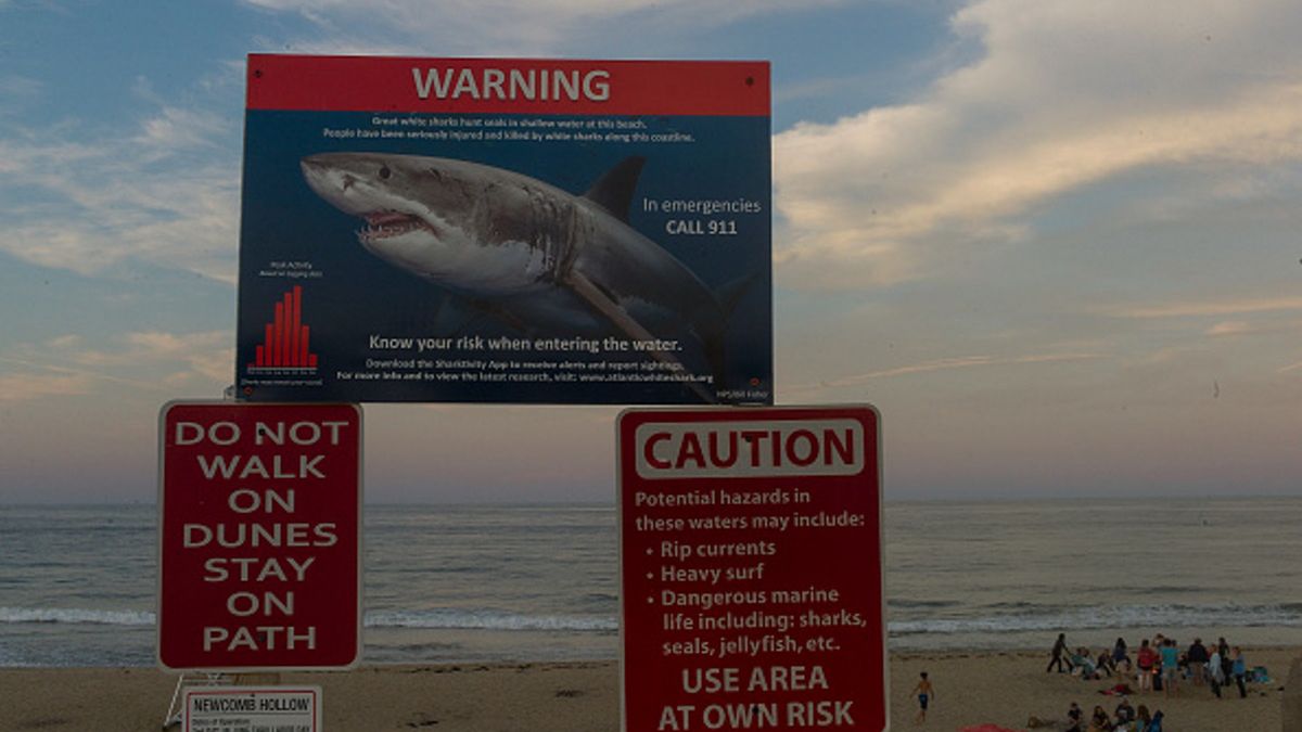 Atak rekina miał miejsce, kiedy 26-letni mężczyzna poszedł surfować