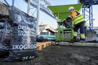 Premier mówi o klęsce urodzaju, ale węgiel nie wszędzie dotarł