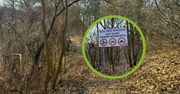 Włocławek: Park Grzywno. Inwestycja, o której mówi się od lat