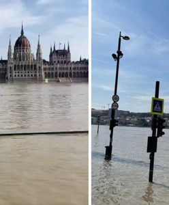 Fala ma dotrzeć w sobotę. Dunaj już zalewa Budapeszt