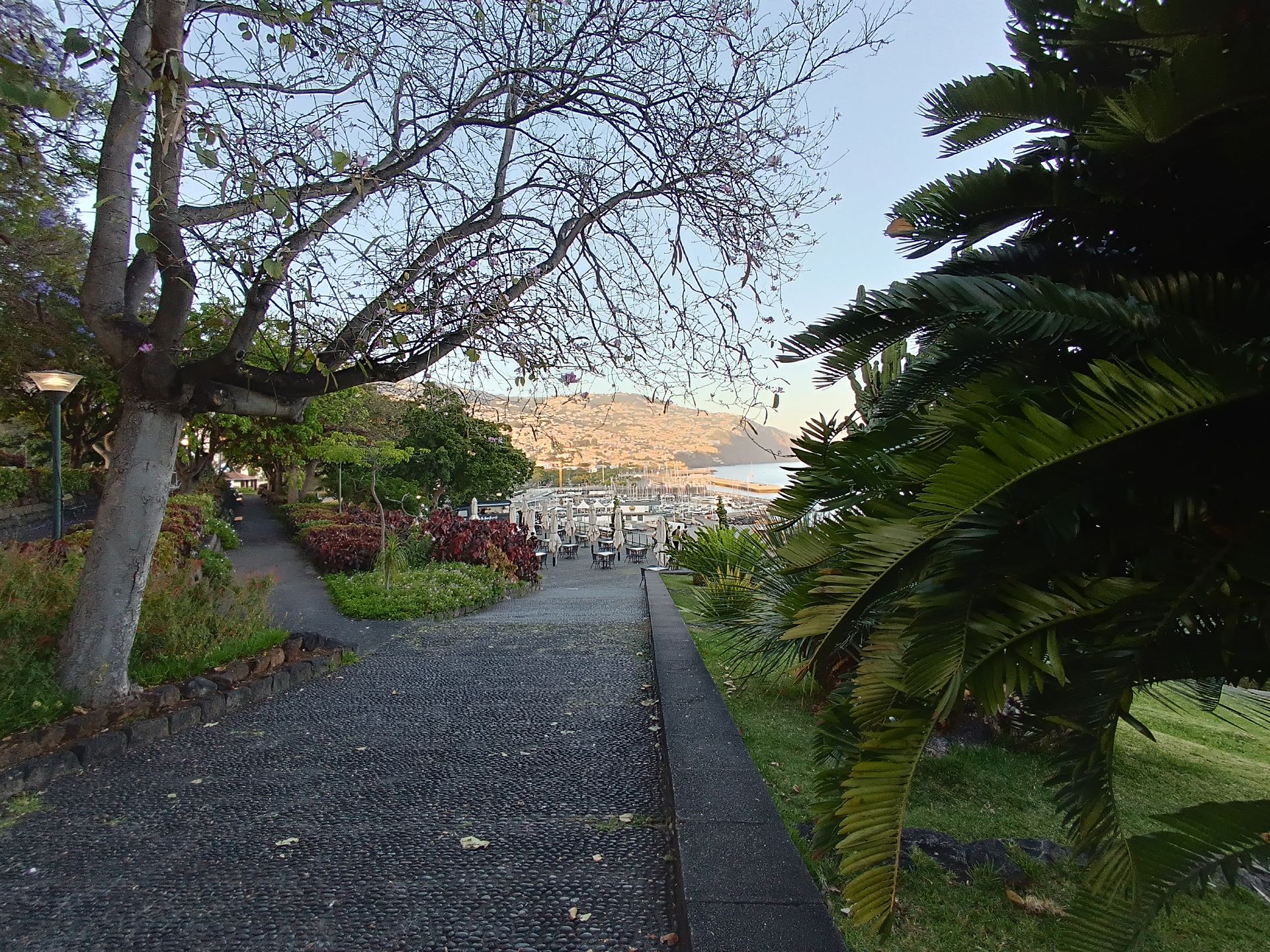 Funchal: Na każdym kroku tysiące kwiatów i roślin