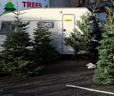 Chciała dostać 760 tys. euro odszkodowania. Polka wpadła przez rzut choinką