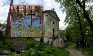 Pokazała polski cmentarz. Jest cały na niebiesko