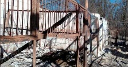 Barbarzyństwo Rosjan. Spalili stadninę koni