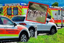 Karambol na wyścigu RiderMan. 100 rannych, 50 karetek i cztery helikoptery w akcji