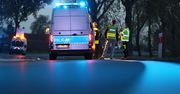 Czołowe zderzenie ciężarówek na DK9. Dwóch kierowców trafiło do szpitala