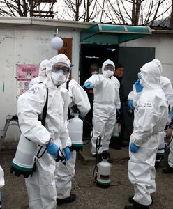 201 mln zakażonych i rośnie. Czwarta fala coraz bliżej