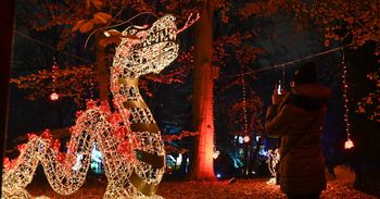 Warszawa: Magiczny Botaniczny powraca. W tym roku szybciej niż zwykle. Organizatorzy szykują darmową niespodziankę