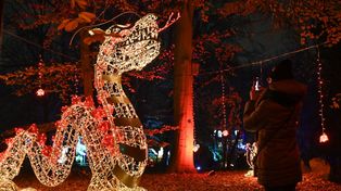 Warszawa: Magiczny Botaniczny powraca. W tym roku szybciej niż zwykle. Organizatorzy szykują darmową niespodziankę