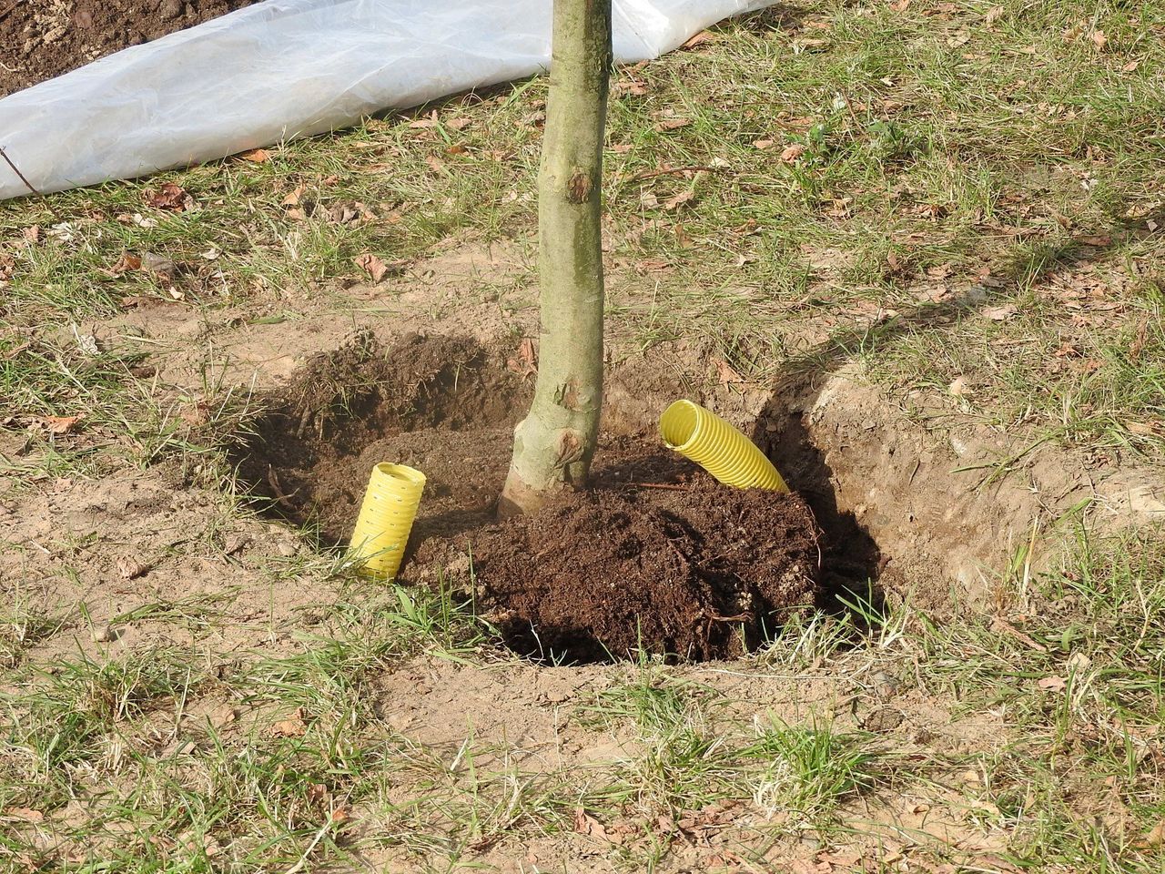 Rekompensaty z ARiMR. Ostatni moment, by złożyć wniosek