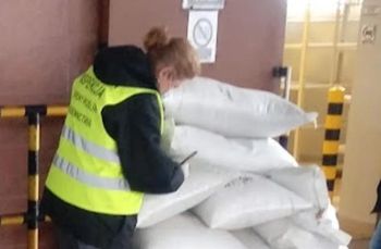 Import materiału siewnego z państw trzecich – nowe przepisy i obowiązki dla importerów