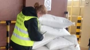 Import materiału siewnego z państw trzecich – nowe przepisy i obowiązki dla importerów