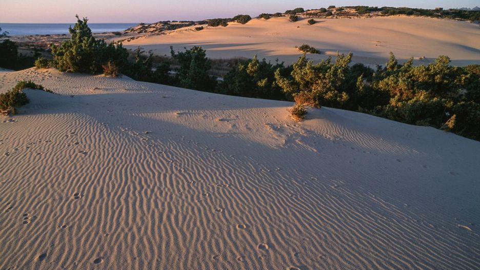 Wydmy w Maspalomas nie są już zadeptywane przez ludzi