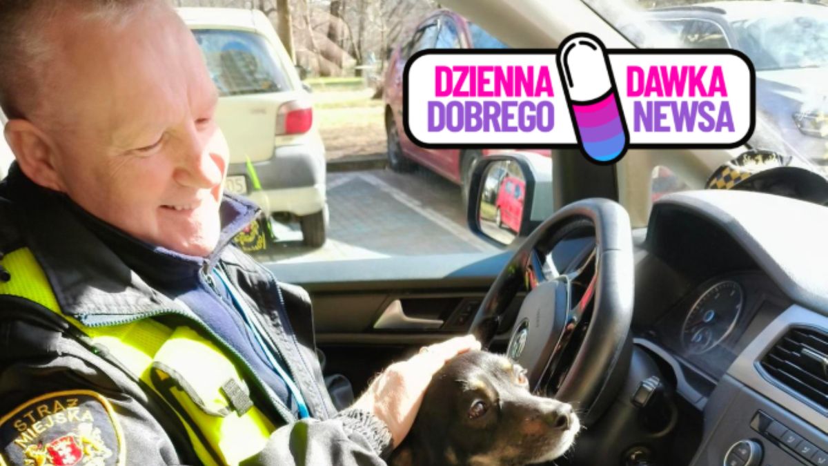 Straż Miejska i niezwykły pasażer w radiowozie