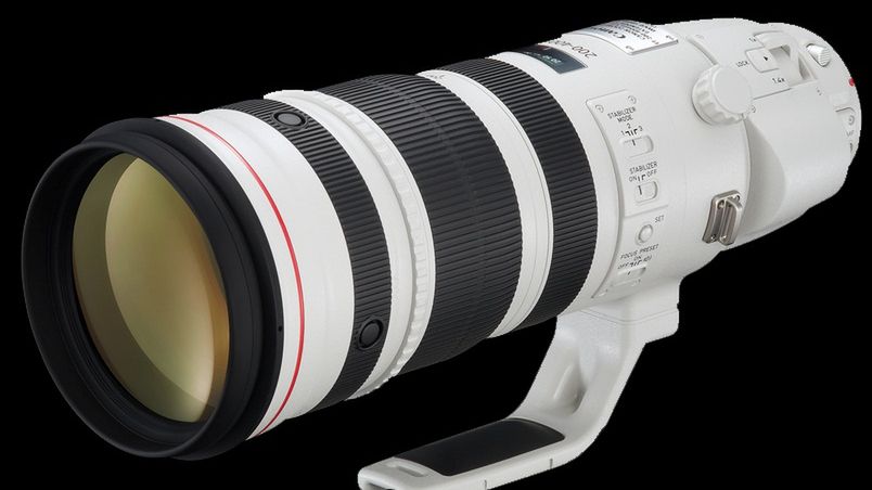 Superteleobiektyw Canon z telekonwerterem nareszcie trafi do sprzedaży 1