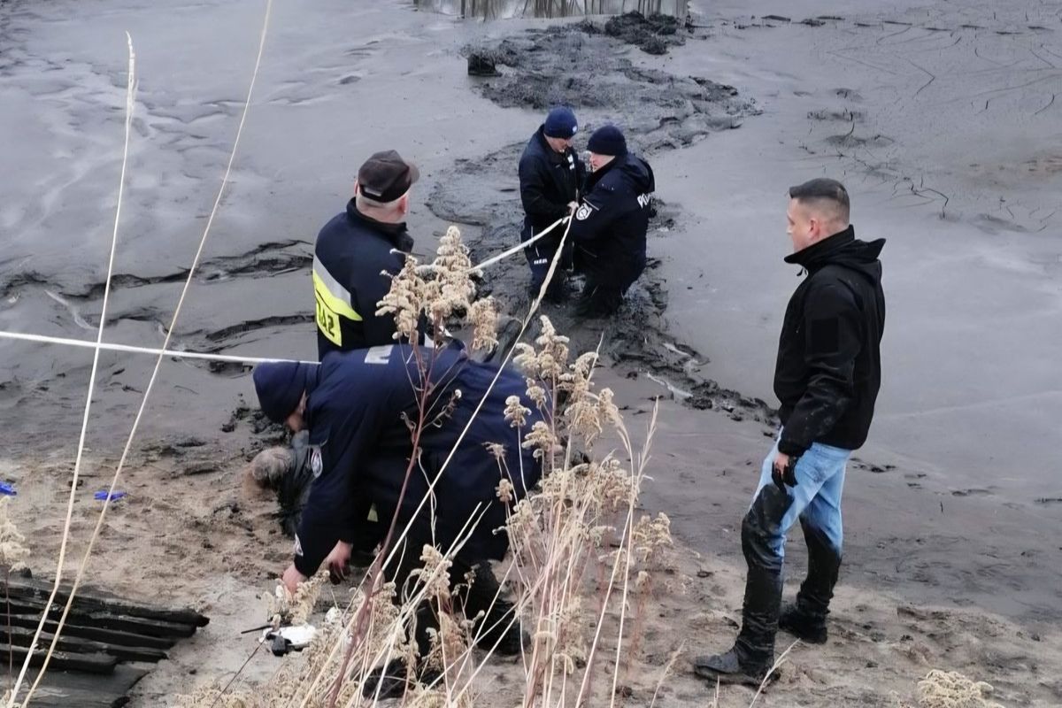 73-latka zaginęła. Zaskakujący finał poszukiwań. "W stawie leży osoba"