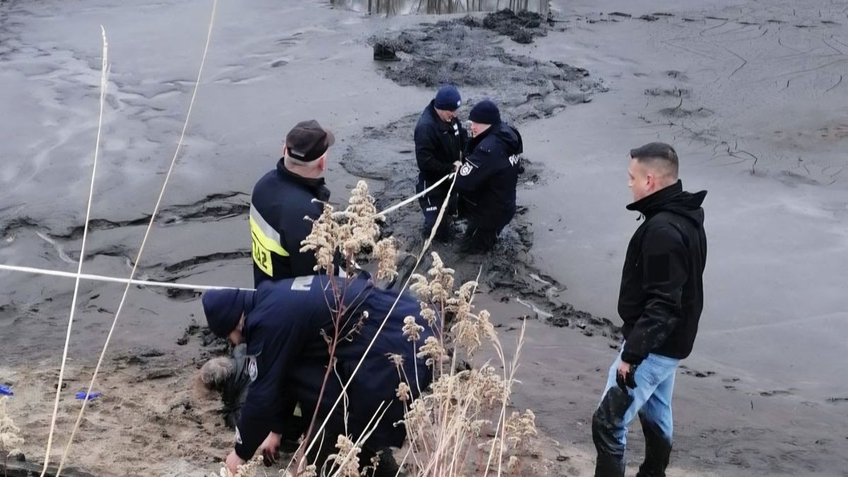 Szczęśliwe zakończenie poszukiwań 73-latki