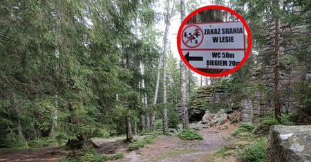 Dosadniej się nie da. Karkonosze walczą z nagminnym problemem
